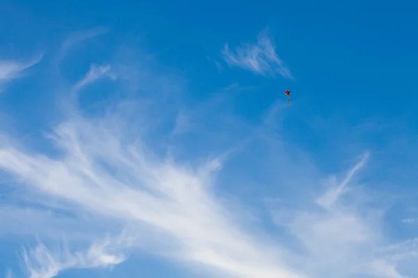 Papagaio voando no fundo céu azul — Fotografia de Stock