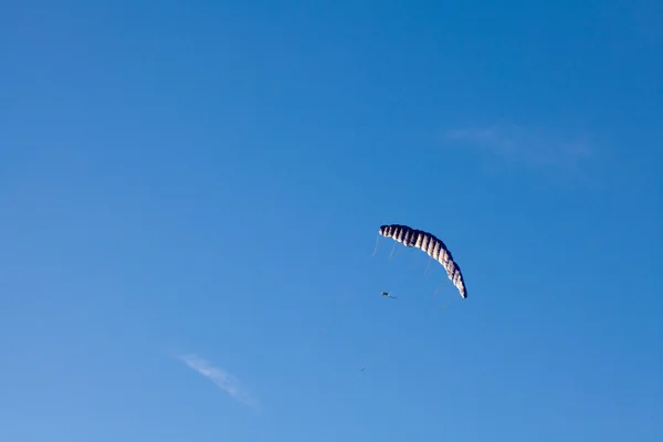 Papagaio voando no fundo céu azul — Fotografia de Stock