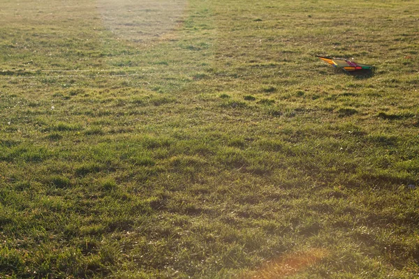 Змей, лежащий на траве, наполненный светом — стоковое фото