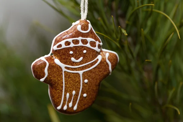 Christmas Toy gingerbread man hanging from a tree — Stock Photo, Image