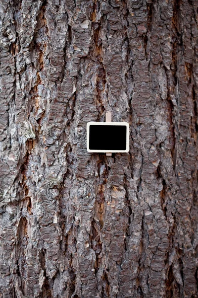 Tablica dołączone do tła kory drzewa — Zdjęcie stockowe