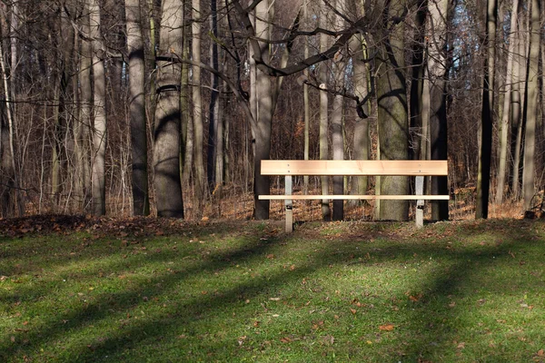 Одинокая деревянная скамейка в осеннем лесу — стоковое фото