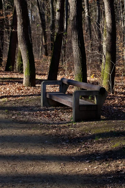 Lone wooden bench standing in autumn forest — Stock Photo, Image