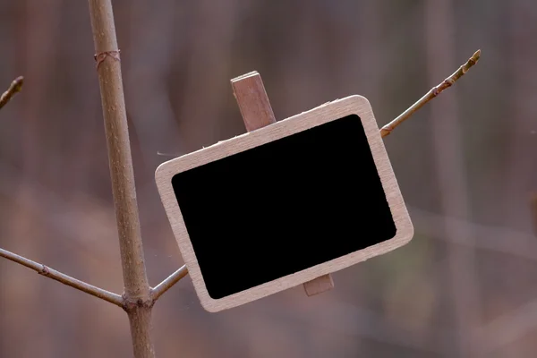Ormandaki bir ağaç dalına bağlı yazı tahtası — Stok fotoğraf