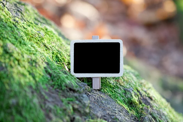 Blackboard attached to a tree branch in the forest — Stock Photo, Image