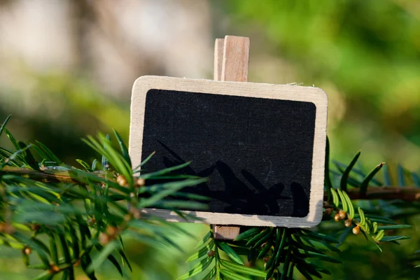 森の中の木の枝に接続されている黒板 — ストック写真