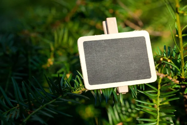 Blackboard attached to a tree branch in the forest — Stock Photo, Image