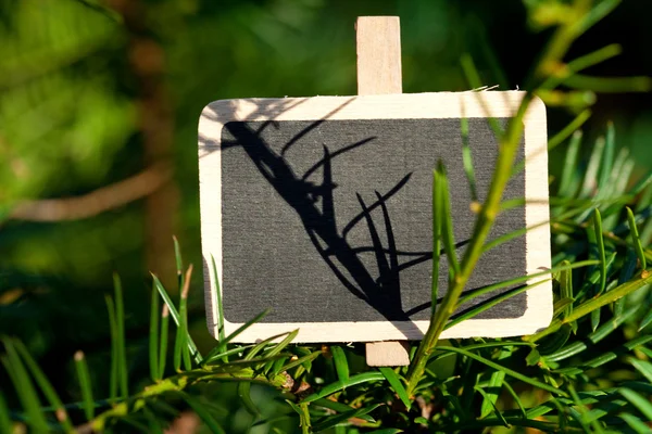 Blackboard bifogas en trädgren i skogen — Stockfoto