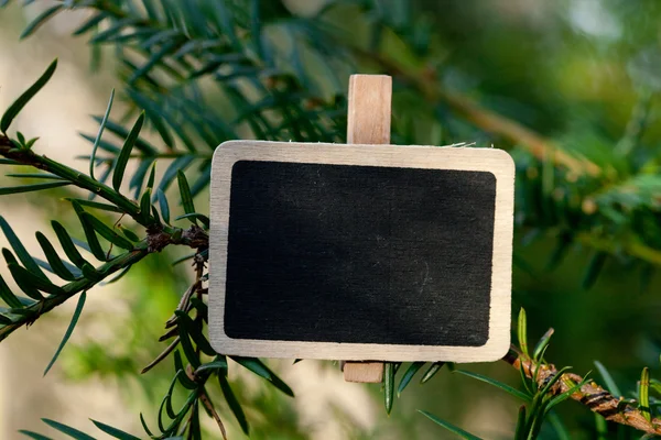 森の中の木の枝に接続されている黒板 — ストック写真