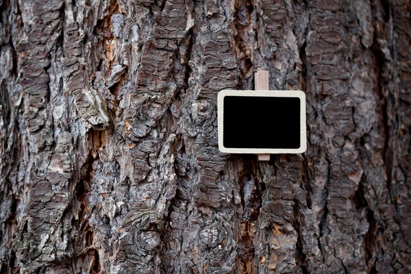 Quadro negro anexado a um fundo de casca de árvore — Fotografia de Stock