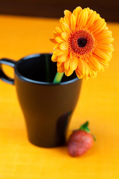 Gerbera flower in a black cup of the orange fabric — Stock Photo, Image