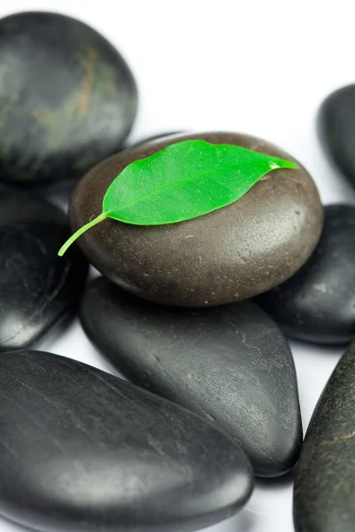 Pedras de spa preto com folha verde e uma gota de água isolada — Fotografia de Stock