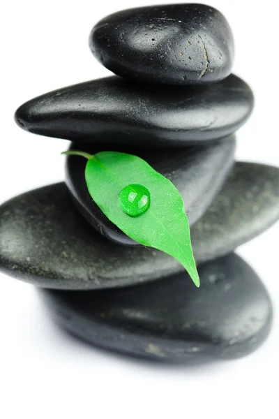 Черные спа-камни с зеленым листом и каплей изолированной воды — стоковое фото