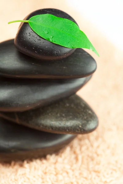 Yeşil yaprak ve bir damla su çekici üzerinde siyah spa taşlarla — Stok fotoğraf