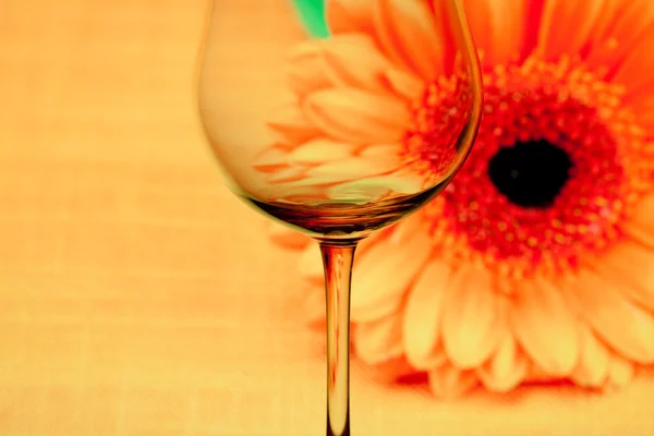 Koncepcyjnie oświetlony kieliszek wina na tle fl — Zdjęcie stockowe