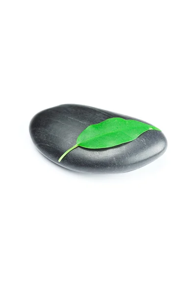 Yeşil yaprak ve bir damla su izole siyah spa taşlarla — Stok fotoğraf