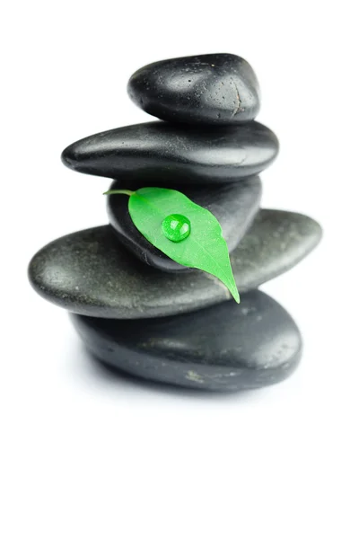 Черные спа-камни с зеленым листом и каплей изолированной воды — стоковое фото