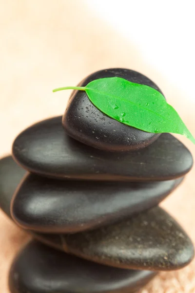 녹색 잎 및 견인에 물 한 방울 블랙 스파 돌 — 스톡 사진
