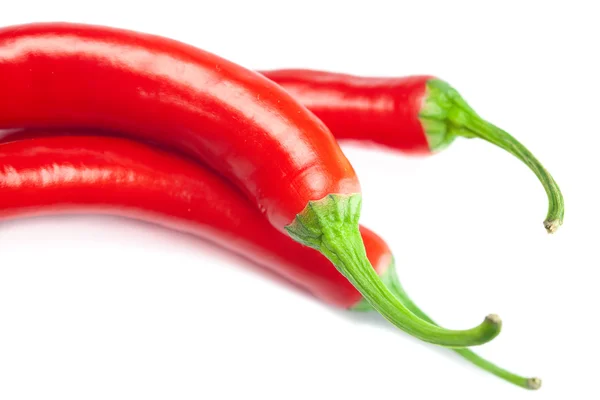 Soczyste czerwone papryki chili na białym tle — Zdjęcie stockowe
