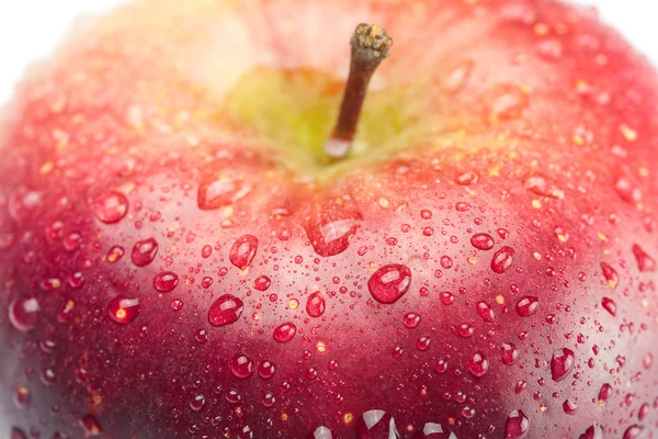 Czerwone jabłko z kropli wody na białym tle — Zdjęcie stockowe