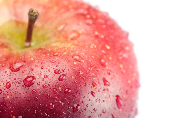 Manzana roja con gotas de agua aisladas en blanco —  Fotos de Stock