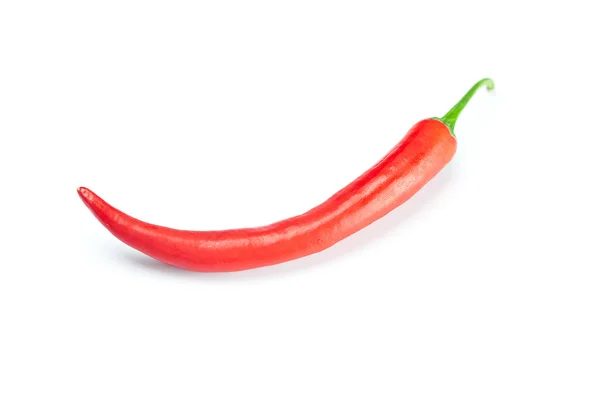 Lédús piros chili paprika elszigetelt fehér — Stock Fotó