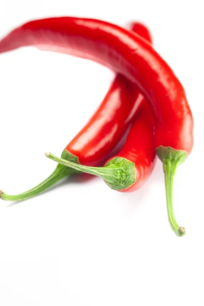 Juicy red chili peppers isolated on white — Stock Photo, Image