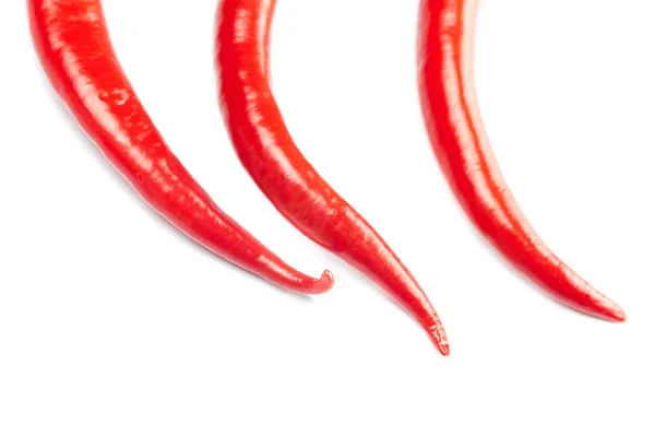 stock image Juicy red chili peppers isolated on white