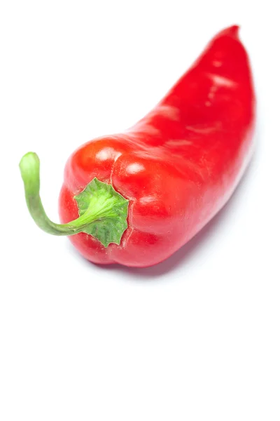 En saftig röd paprika isolerad på vit — Stockfoto