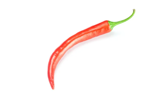 Lédús piros chili paprika elszigetelt fehér — Stock Fotó