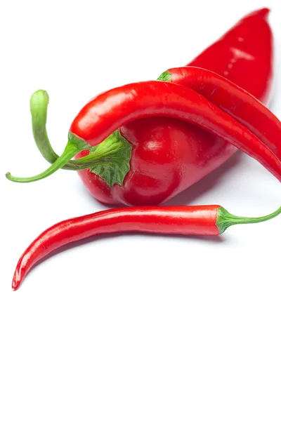 Šťavnaté červené chilli papričky, izolované na bílém — Stock fotografie