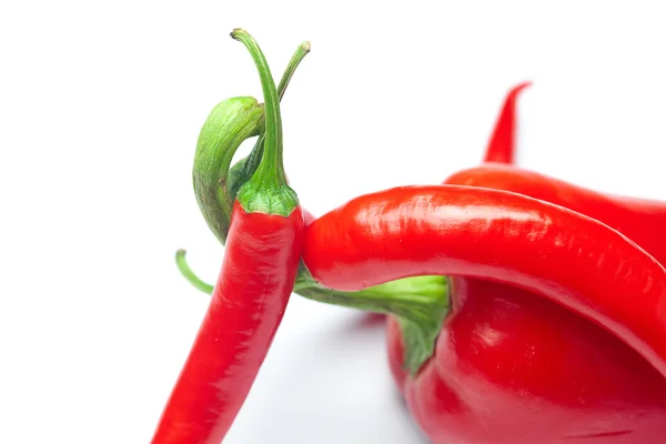Saftig rød chili-paprika isolert på hvit – stockfoto