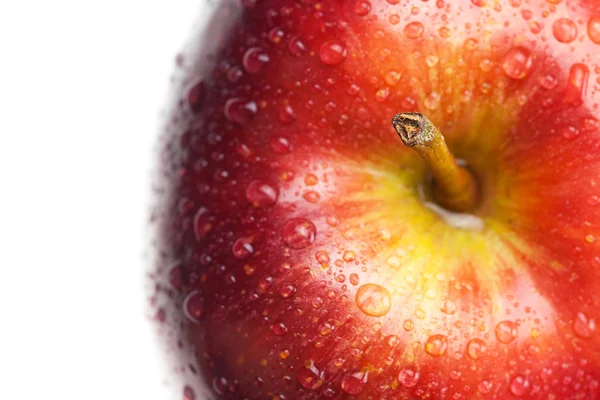 Manzana con gotas de agua aisladas en blanco — Foto de Stock