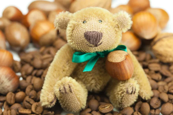 Teddybär mit Schleife, Kaffeebohnen und Nüssen — Stockfoto