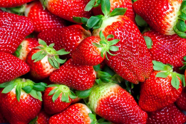 背景的红色大汁多成熟的草莓 — 图库照片
