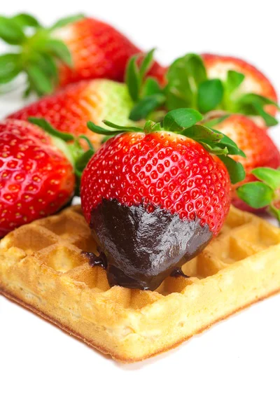 Grote sappige rijpe aardbeien in chocolade en wafels geïsoleerd op — Stockfoto