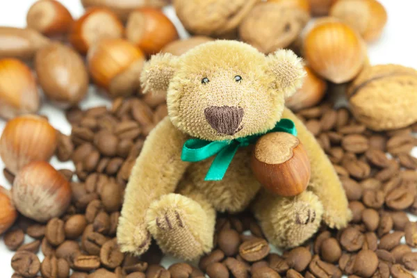 Teddybeer met een boog, koffiebonen en noten — Stockfoto