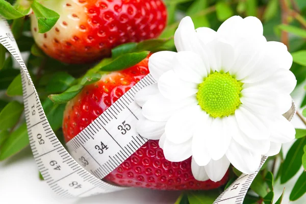 Background of red big juicy ripe strawberry and flower — Stock Photo, Image