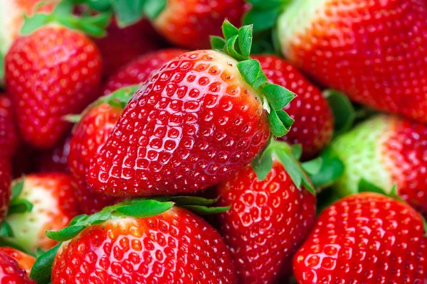 背景的红色大汁多成熟的草莓 — 图库照片