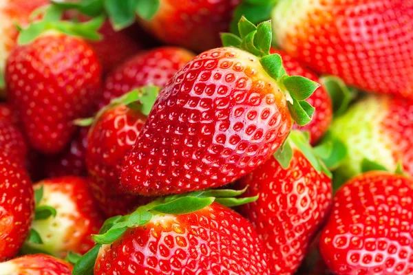 Φόντο κόκκινο μεγάλο juicy ώριμες φράουλες — Φωτογραφία Αρχείου