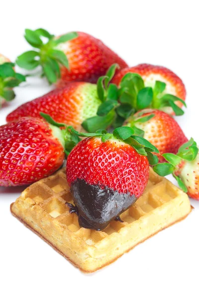 Grande suculento morangos maduros em chocolate e waffles isolados em — Fotografia de Stock