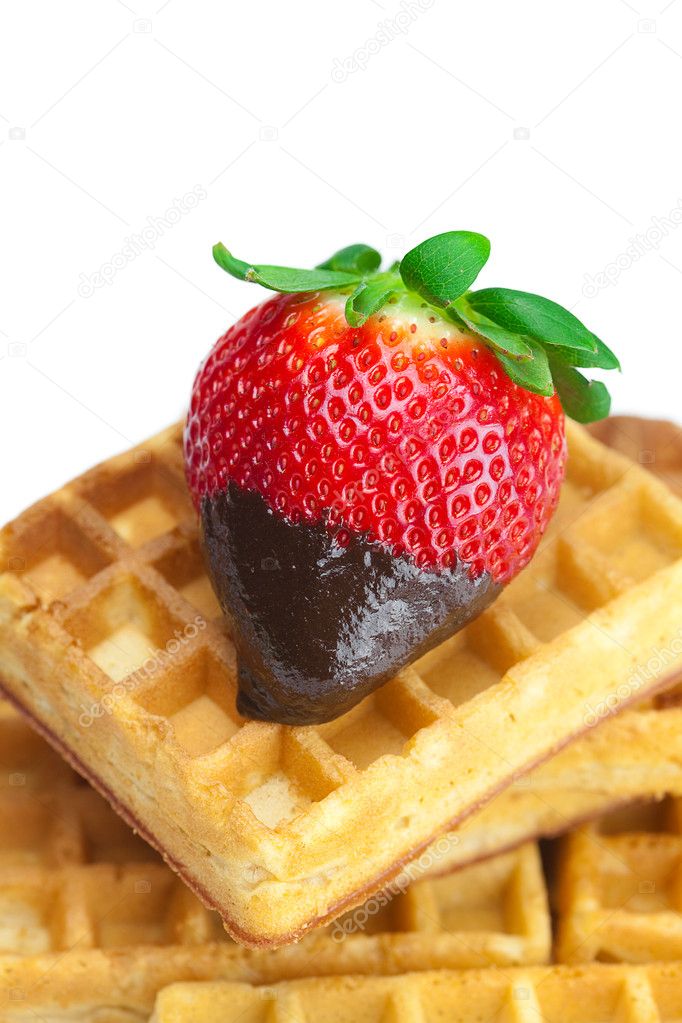Big juicy ripe strawberries in chocolate and waffles isolated on