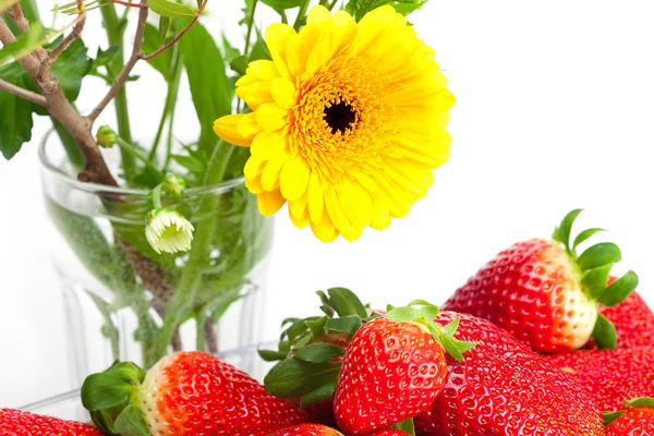 Fondo de grandes fresas maduras jugosas rojas y flor — Foto de Stock