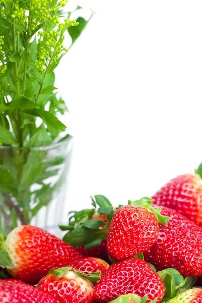 Fond de grosses fraises mûres juteuses rouges et de fleurs — Photo