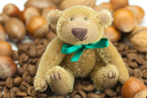Teddy bear with a bow, coffee beans and nuts — Stock Photo, Image