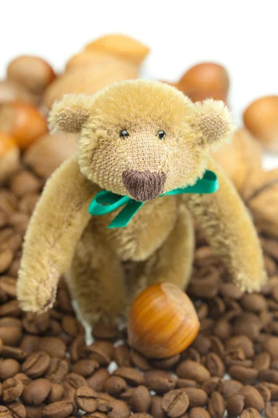 Ursuleț de pluș cu arc, boabe de cafea și nuci — Fotografie, imagine de stoc