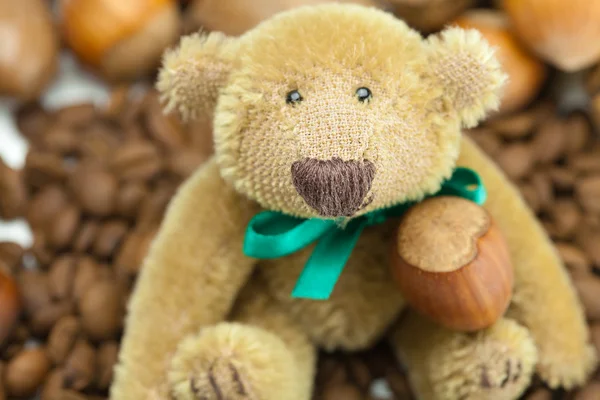 Urso de pelúcia com um arco, grãos de café e nozes — Fotografia de Stock