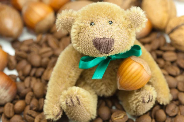 Urso de pelúcia com um arco, grãos de café e nozes — Fotografia de Stock