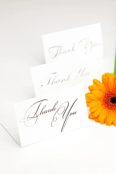 Gerbera and a card signed thank you isolated on white — Stock Photo, Image
