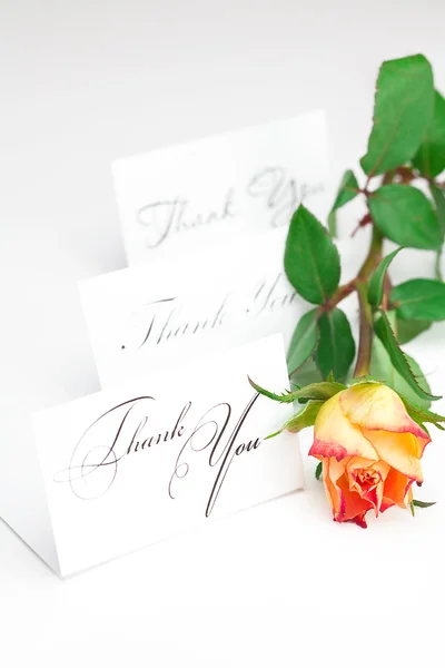 Κίτρινο κόκκινο τριαντάφυλλο και μια κάρτα με τα λόγια ευχαριστώ που απομονώνονται σε — Φωτογραφία Αρχείου